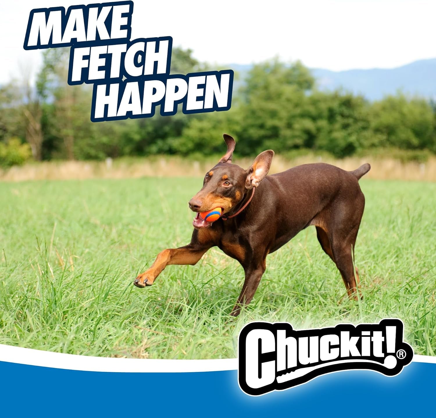 Chuck-It Ultra Rubber Ball