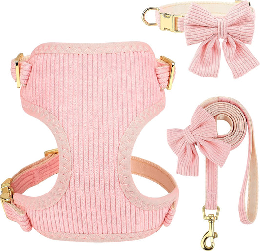 Pink Walking Set