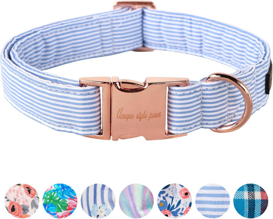 Blue Pin-Stripe Collar