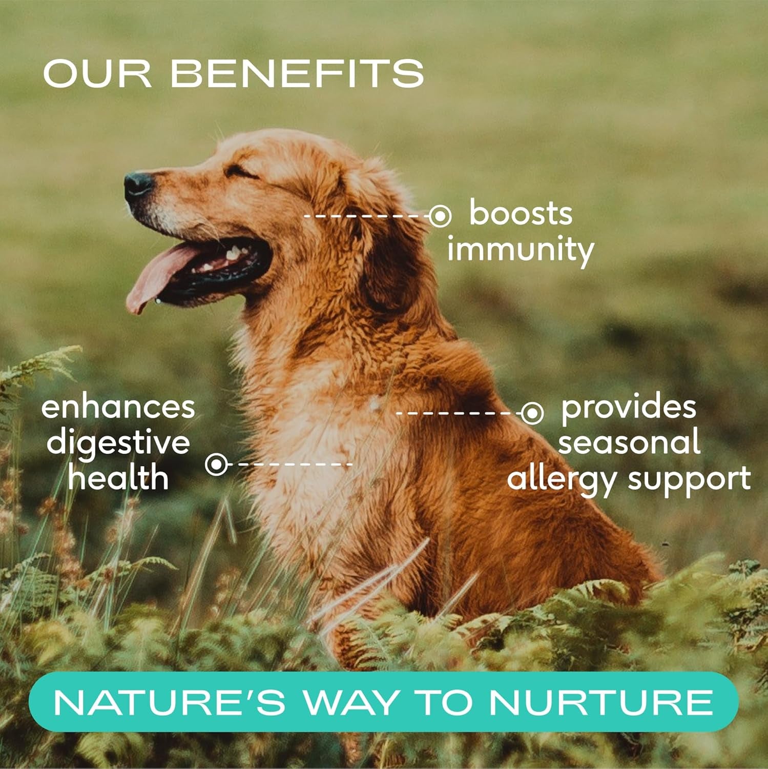 Native Pet Powdered Colostrum