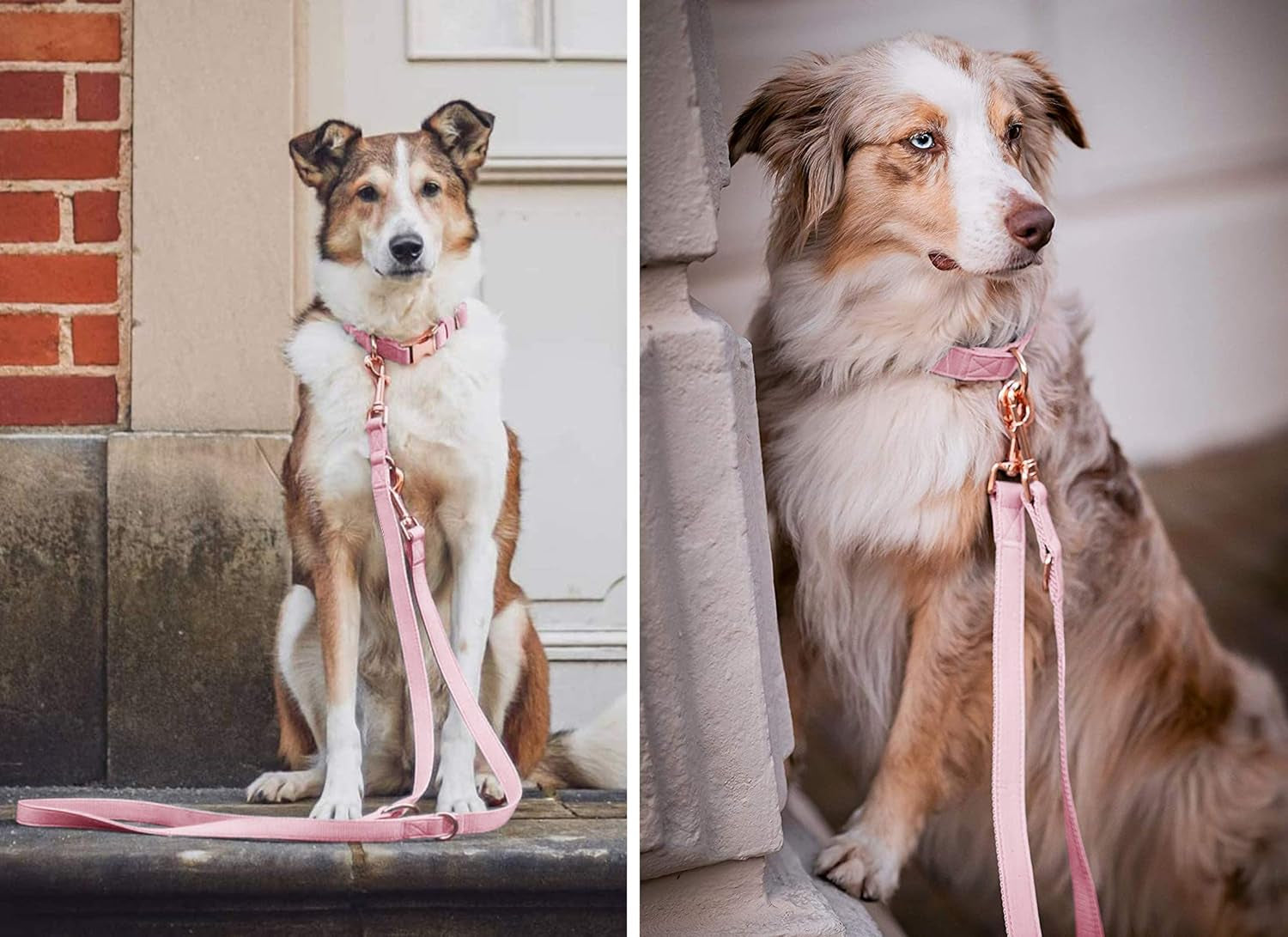 Pink Pleather Leash & Collar Set