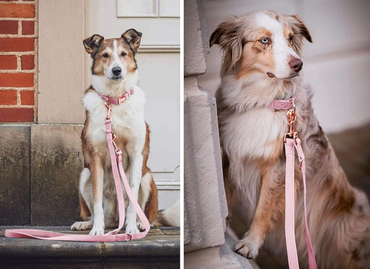 Pink Pleather Leash & Collar Set