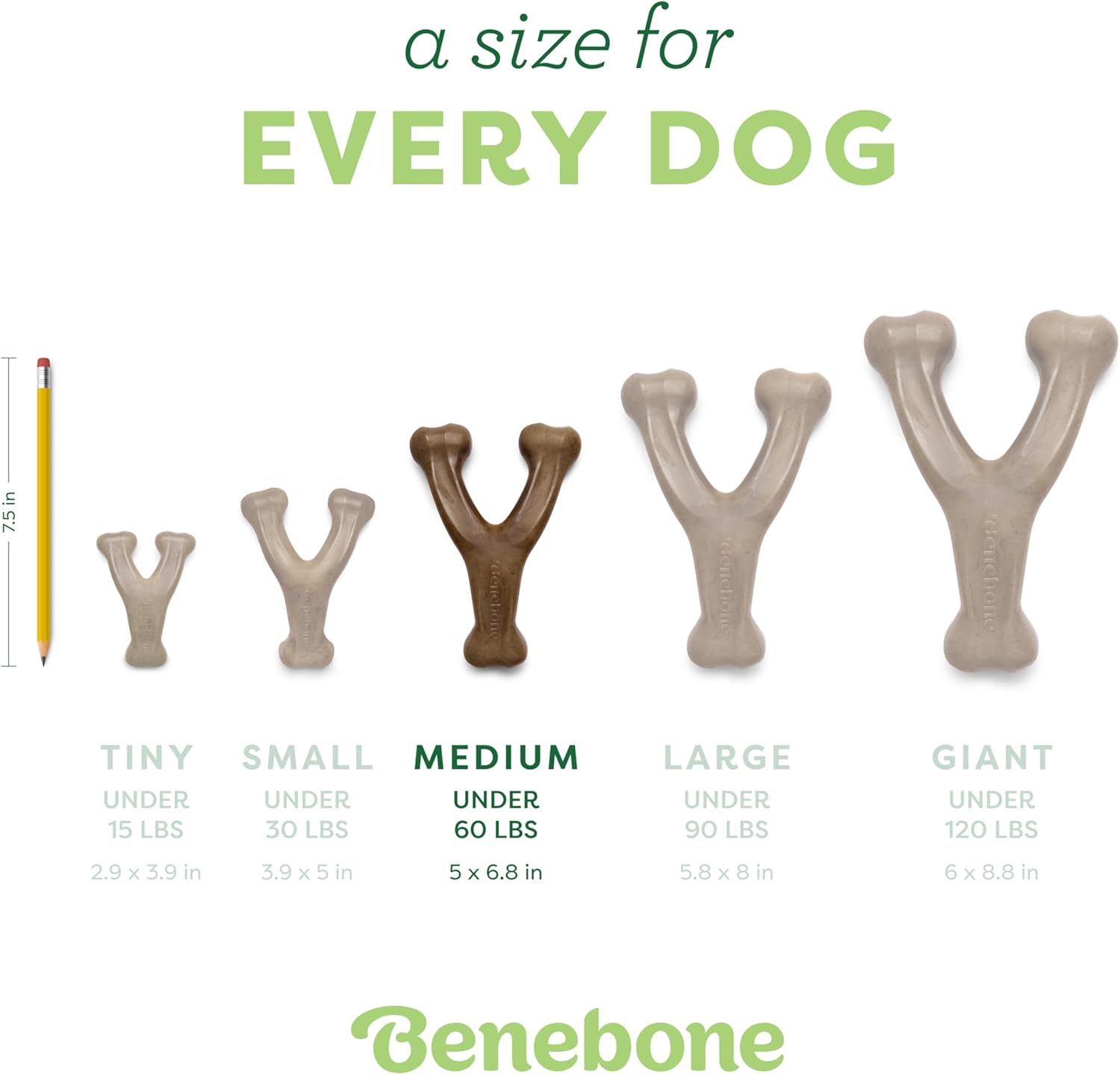 BeneBone Wishbone Durable Chew