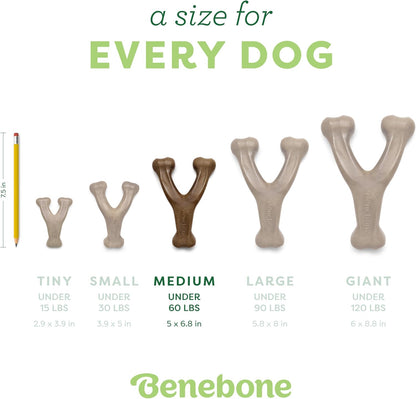 BeneBone Wishbone Durable Chew