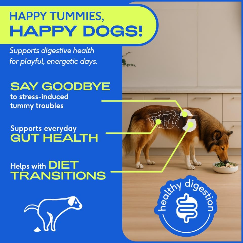 Native Pet Powdered Probiotics