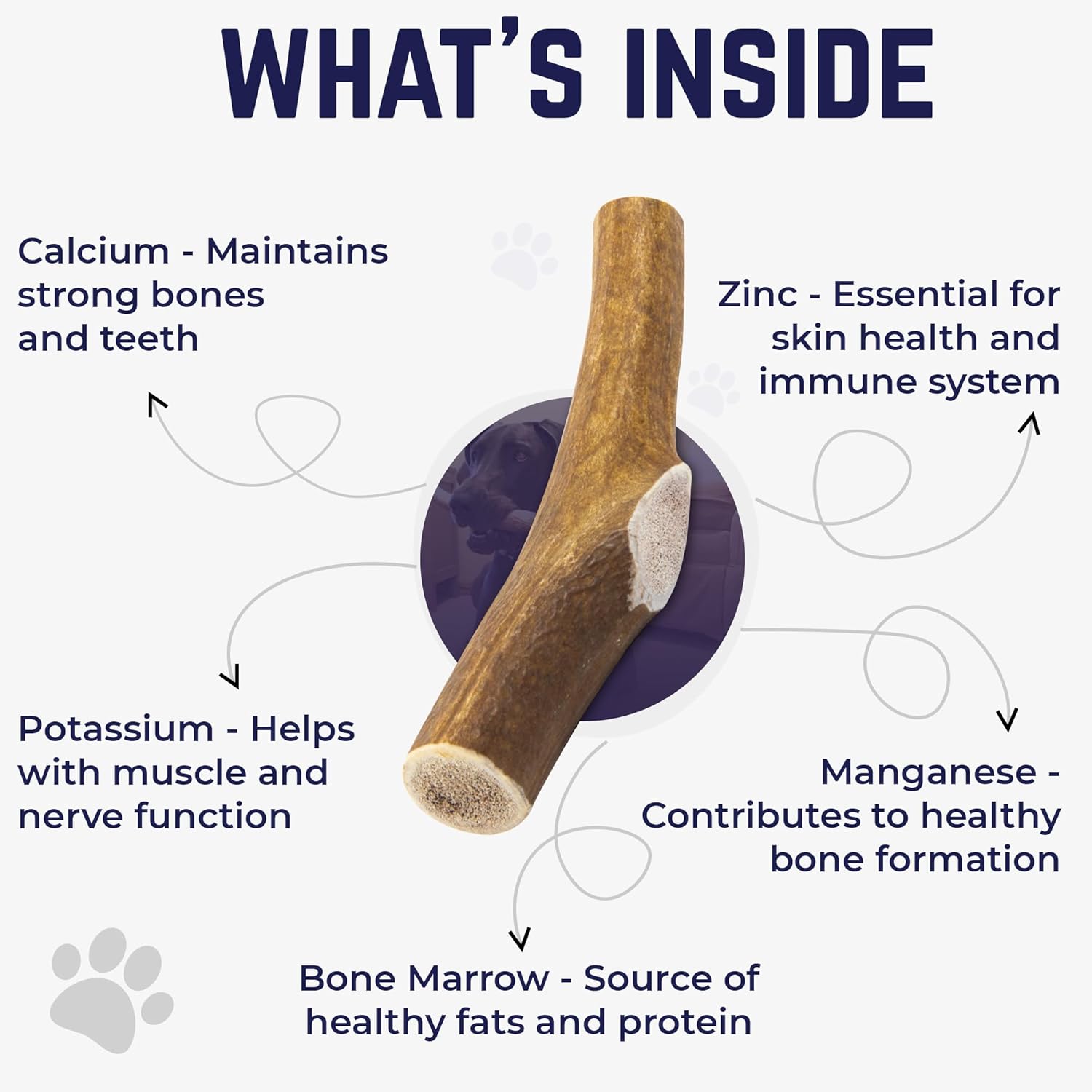Natural Elk Antler Chew