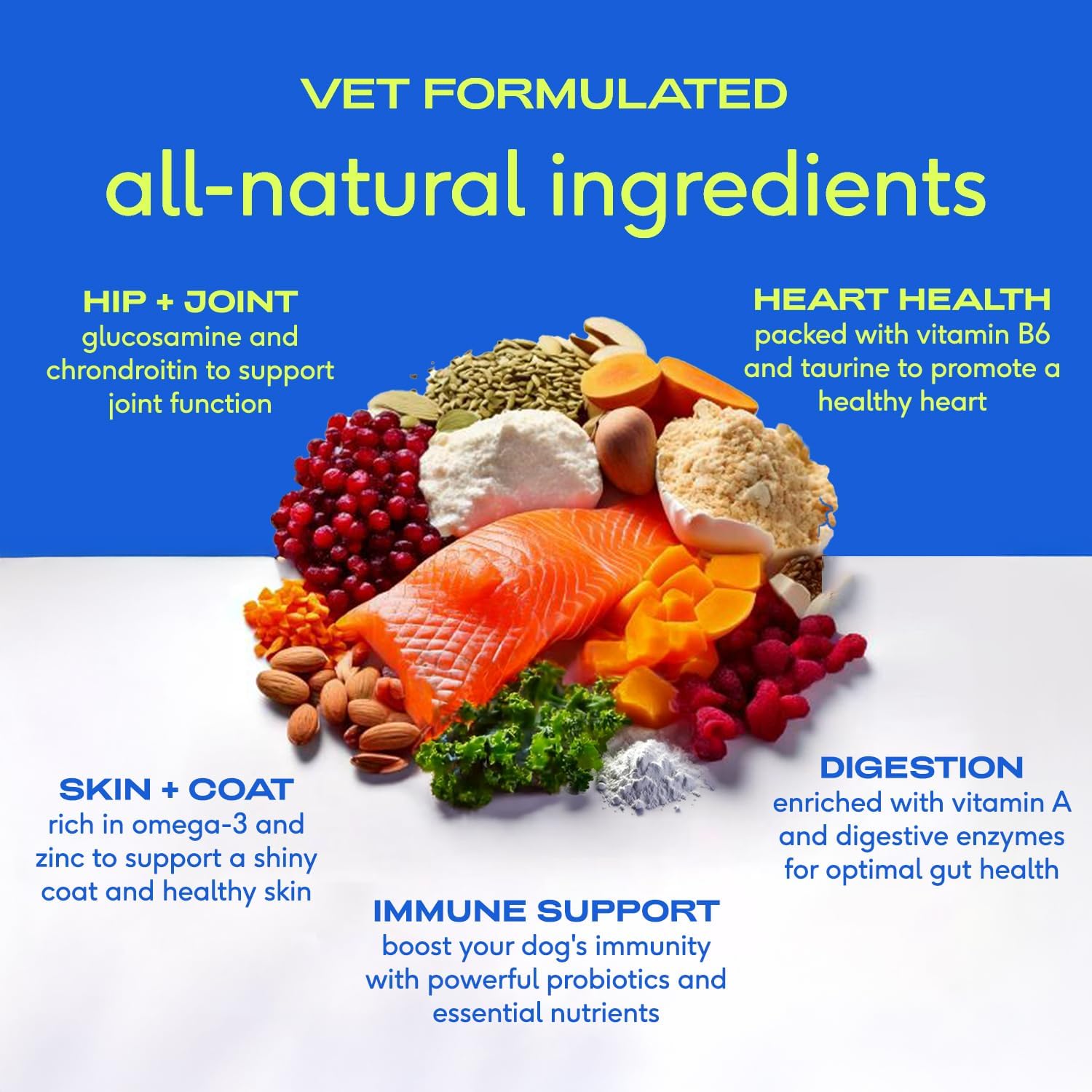 Native Pet 11-in-1 Multivitamin Powder Supplement 