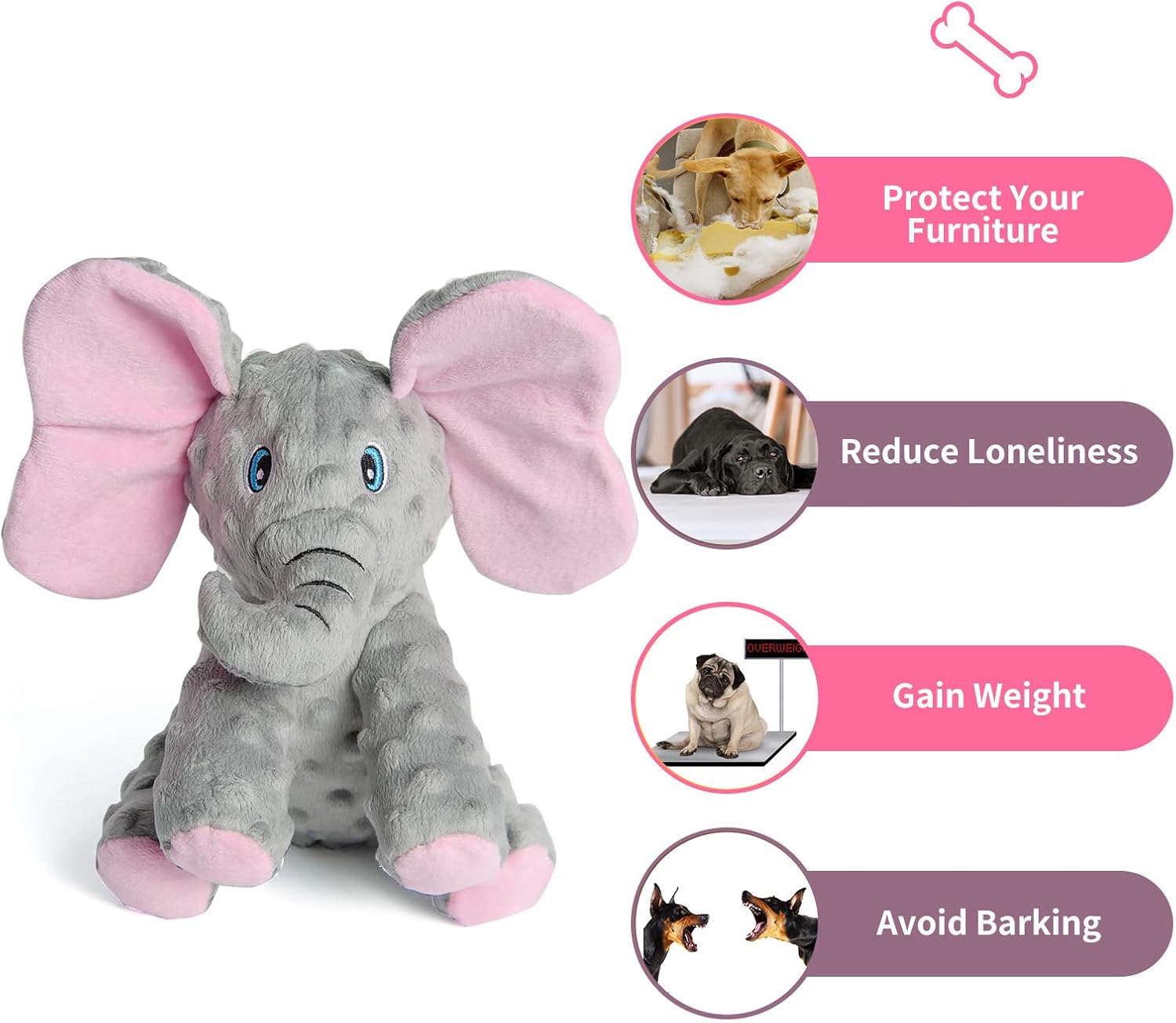 Ellie The Elephant