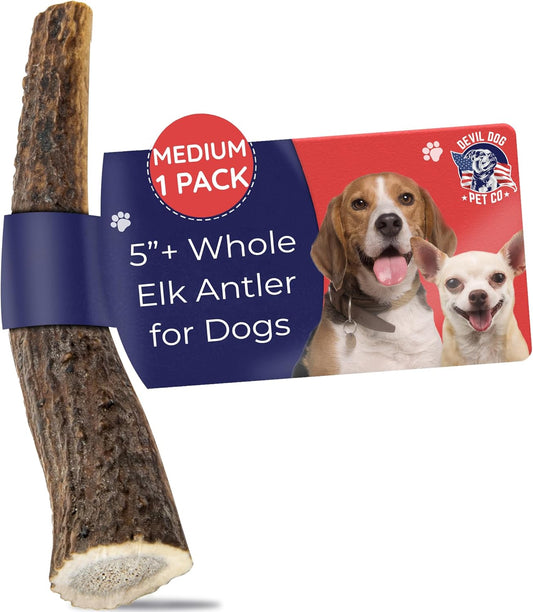 Natural Elk Antler Chew