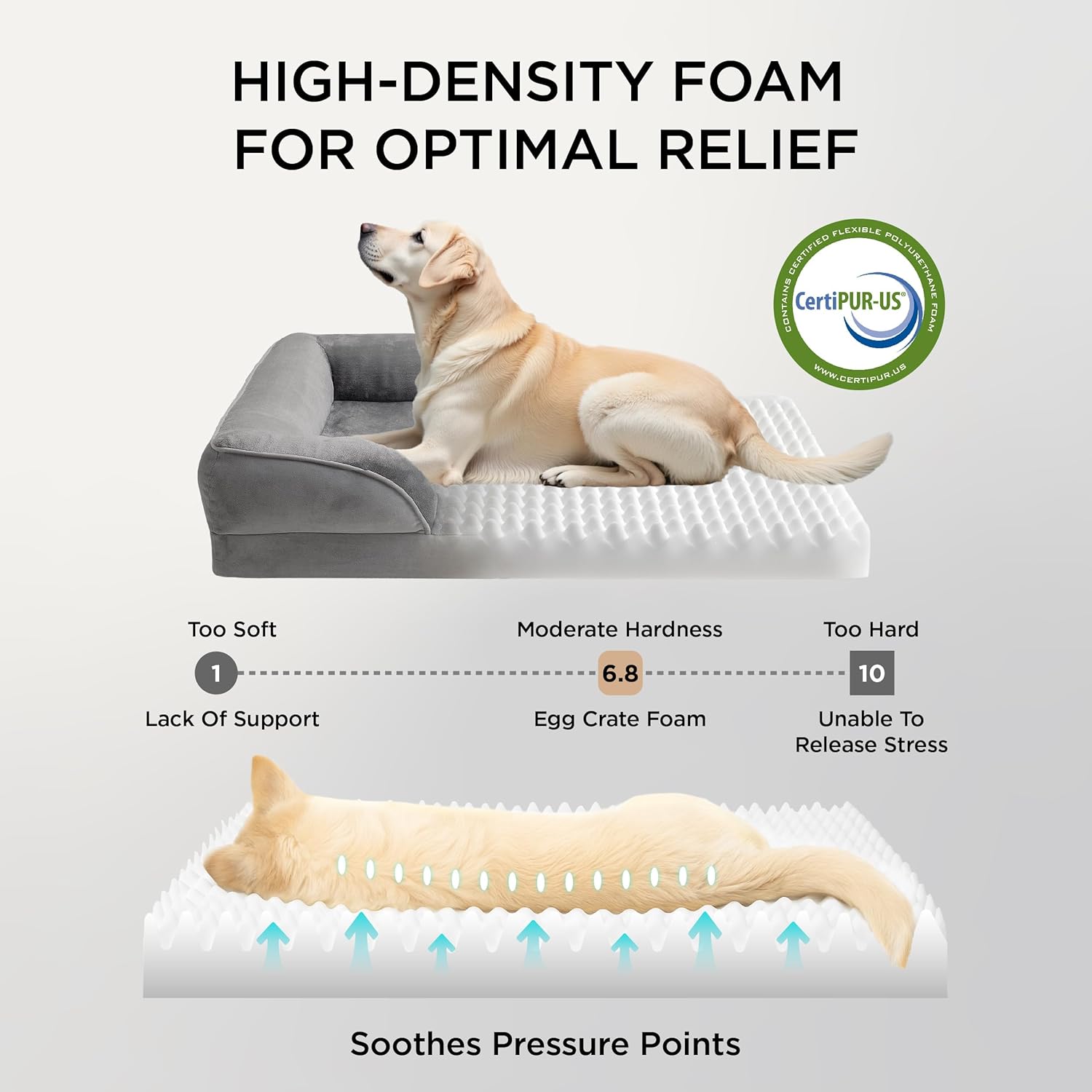 Gray Orthopedic Bed