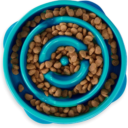 Teal Interactive Fun Feeder Bowl