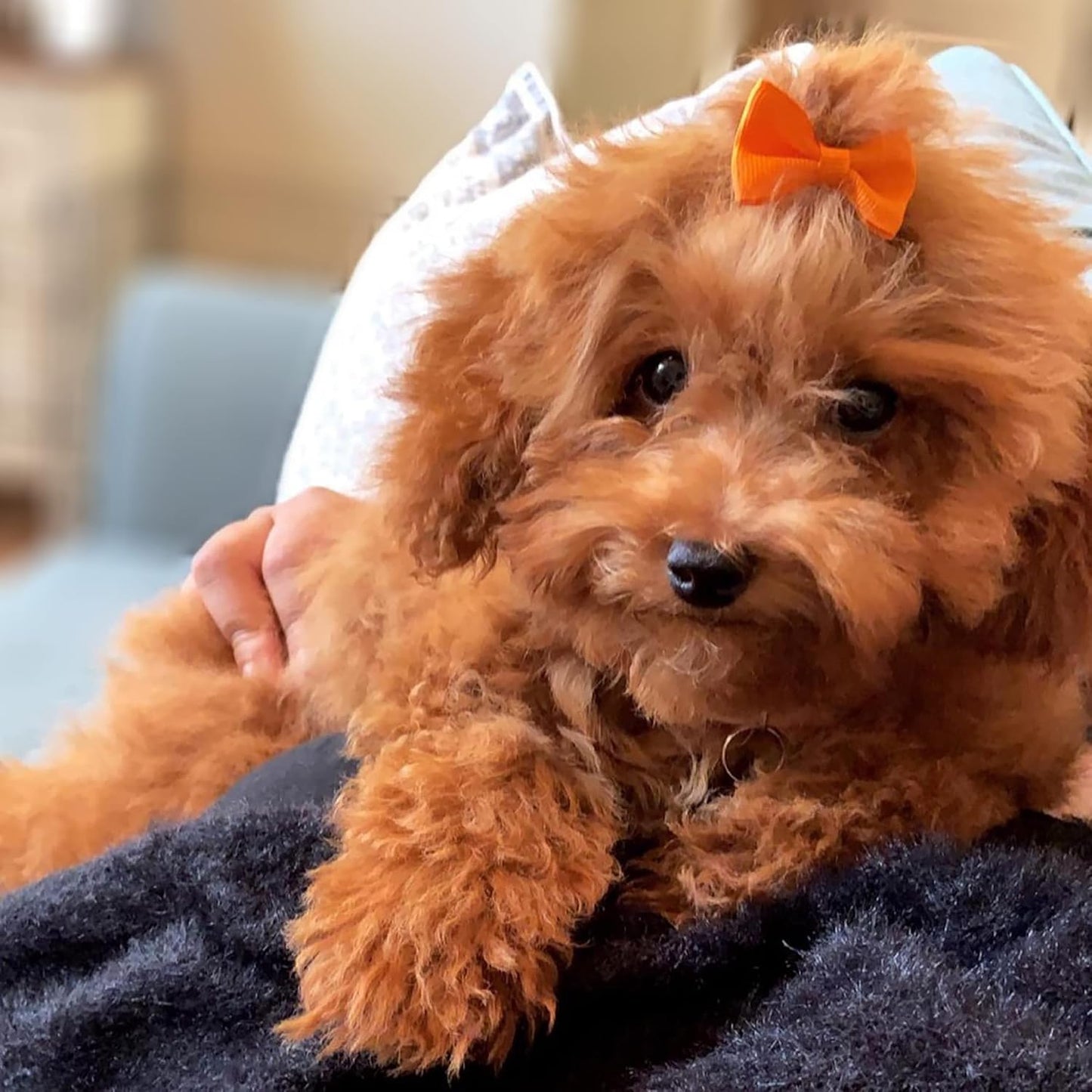 Happy Hair Bow Set