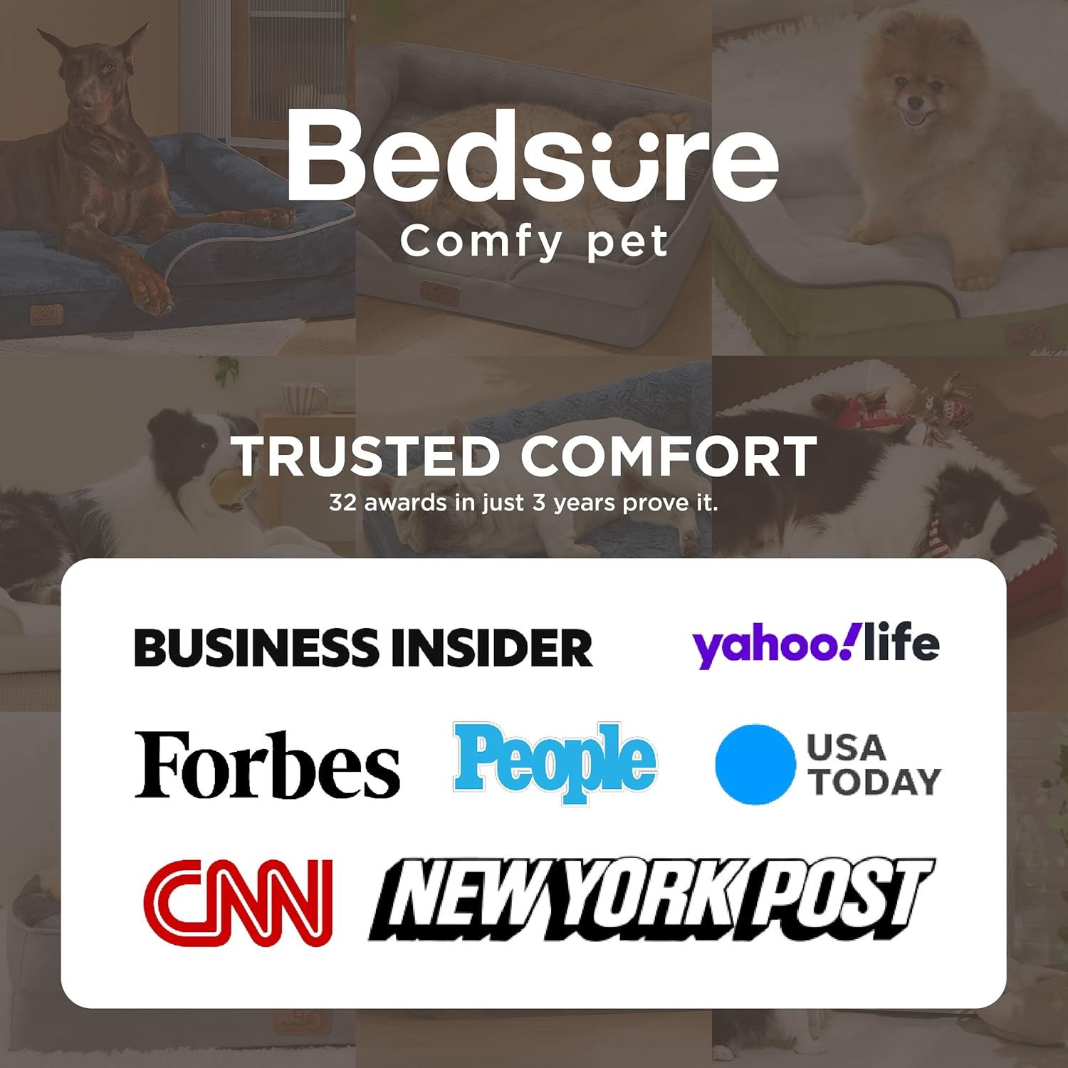 Gray Orthopedic Bed