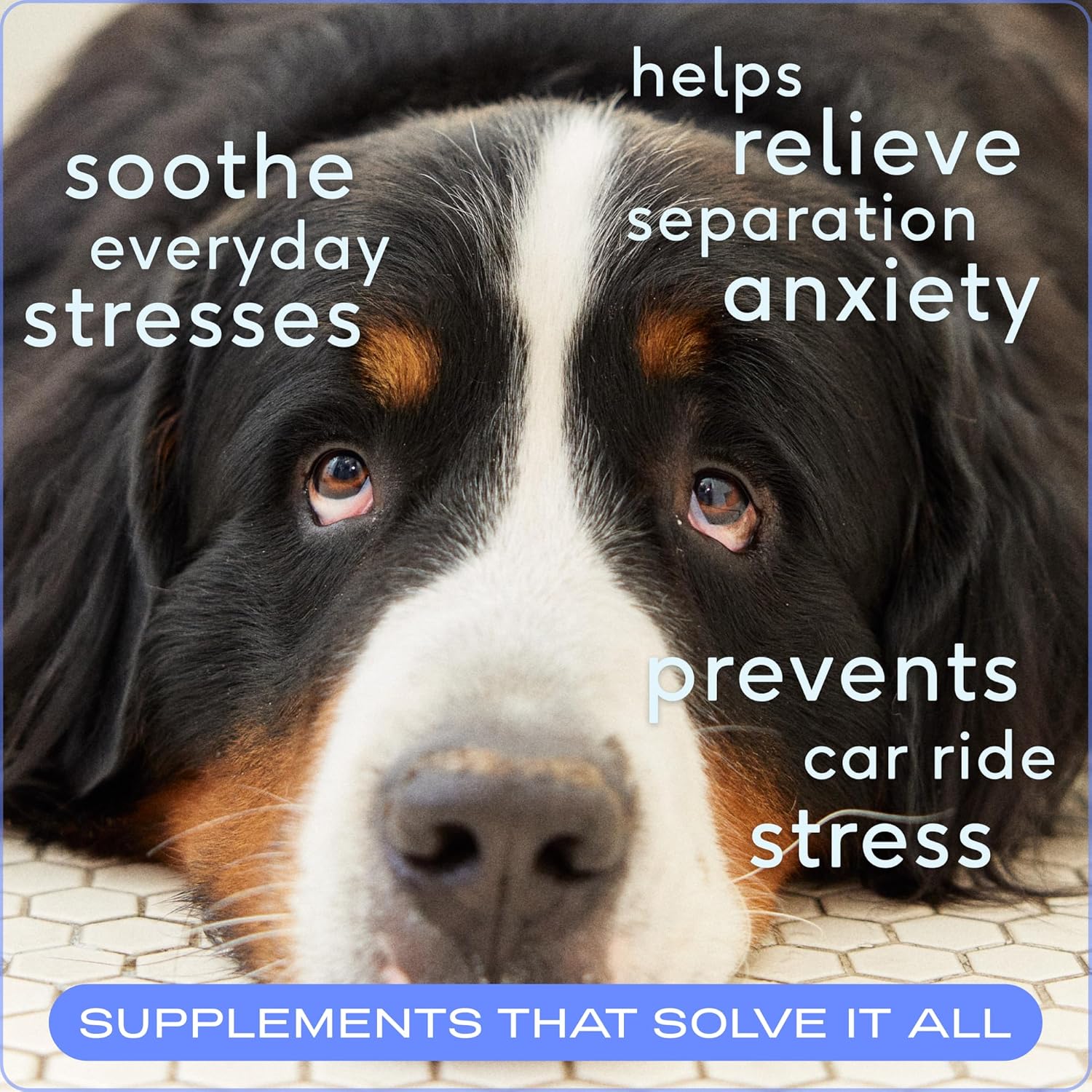 Native Pet Calming Chews