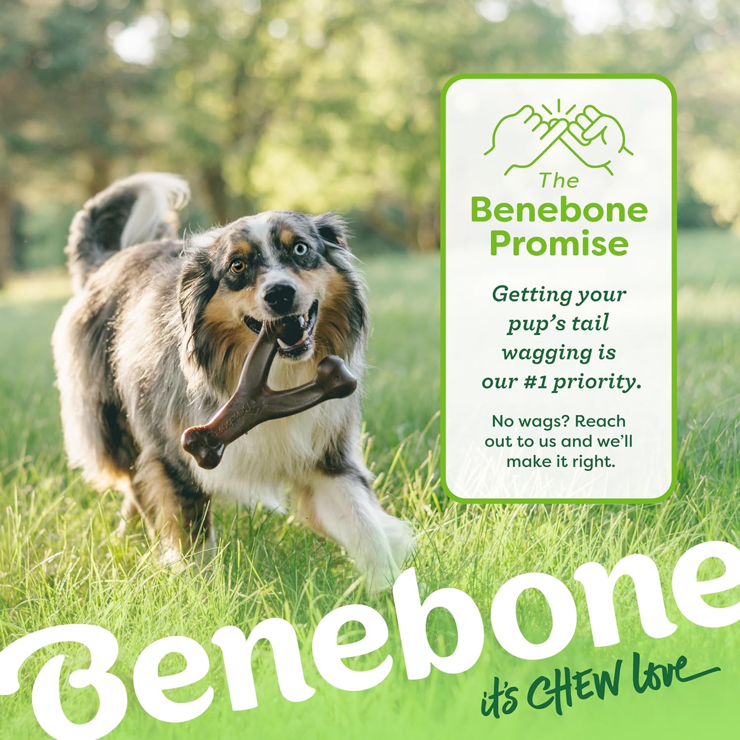 BeneBone Wishbone Durable Chew