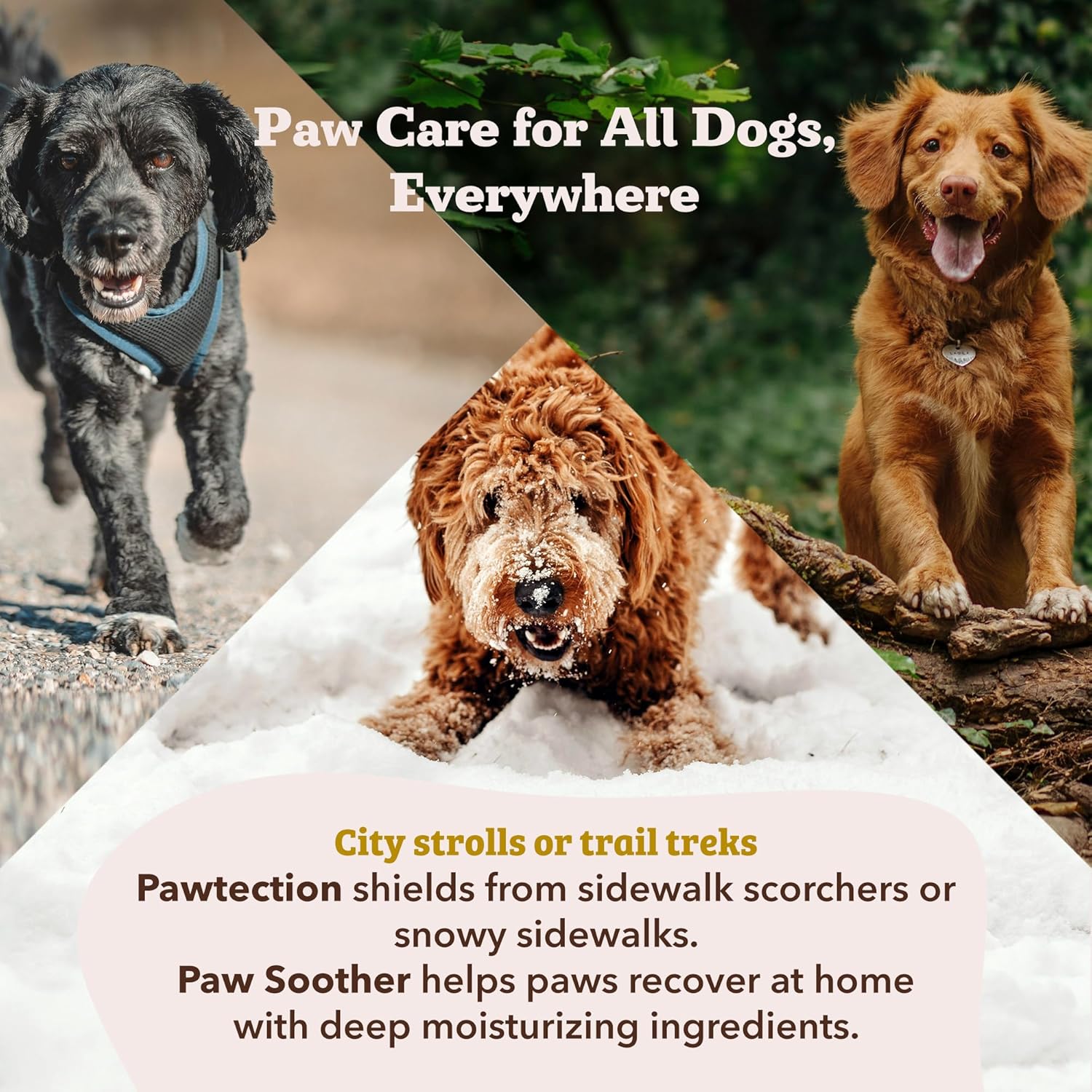 The Natural Dog Company Paw Soother