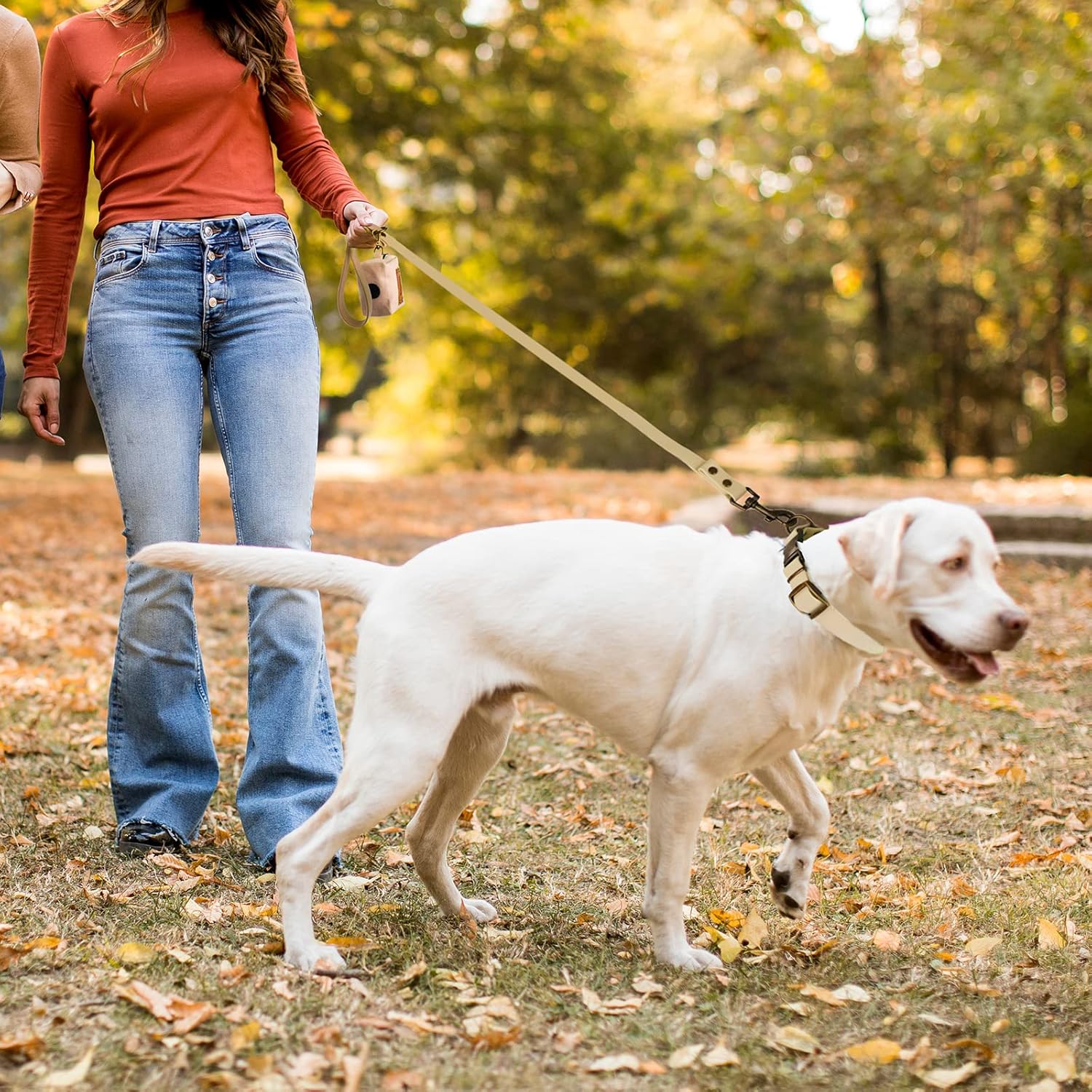 Tan Collar + Leash with Poop Bag Holder Set