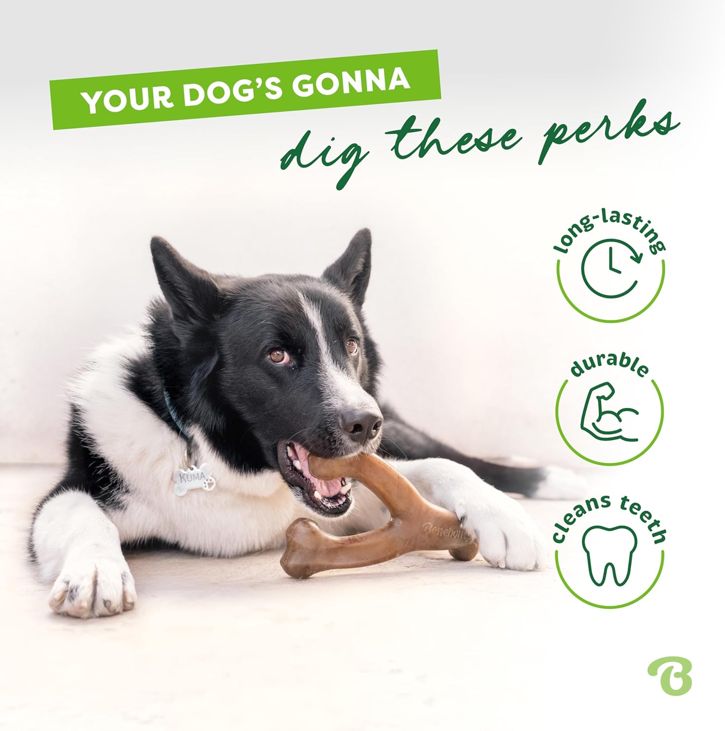 BeneBone Wishbone Durable Chew