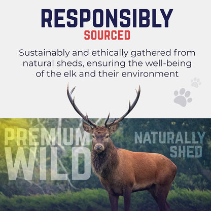 Natural Elk Antler Chew