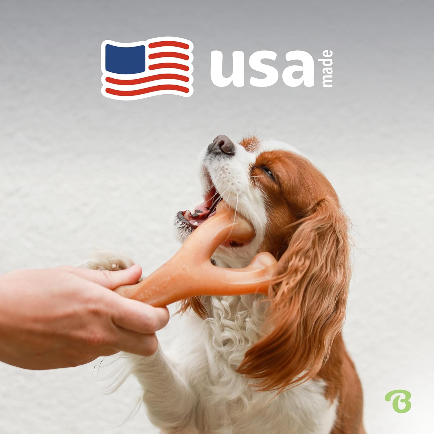 BeneBone Wishbone Durable Chew