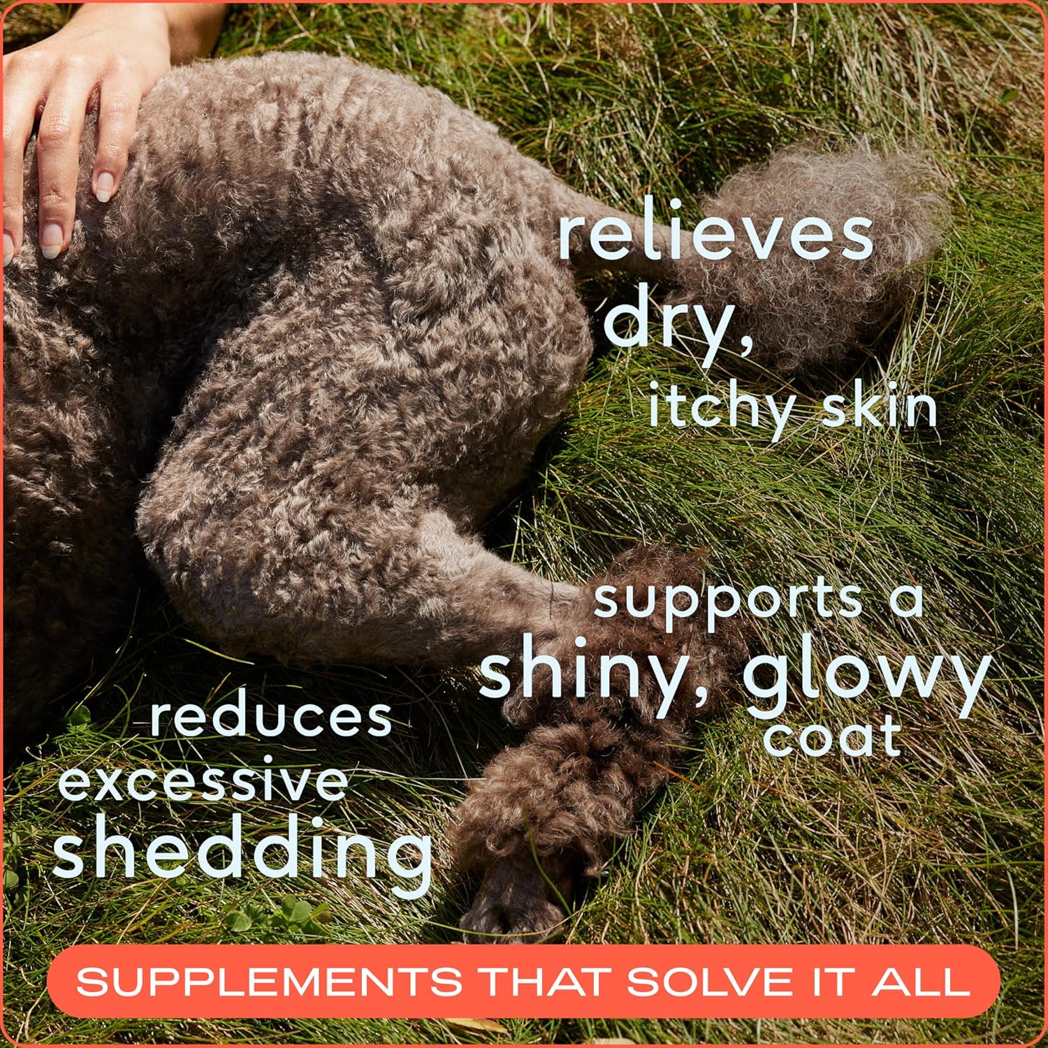 Native Pet Omega-3 Fish Oil Supplement