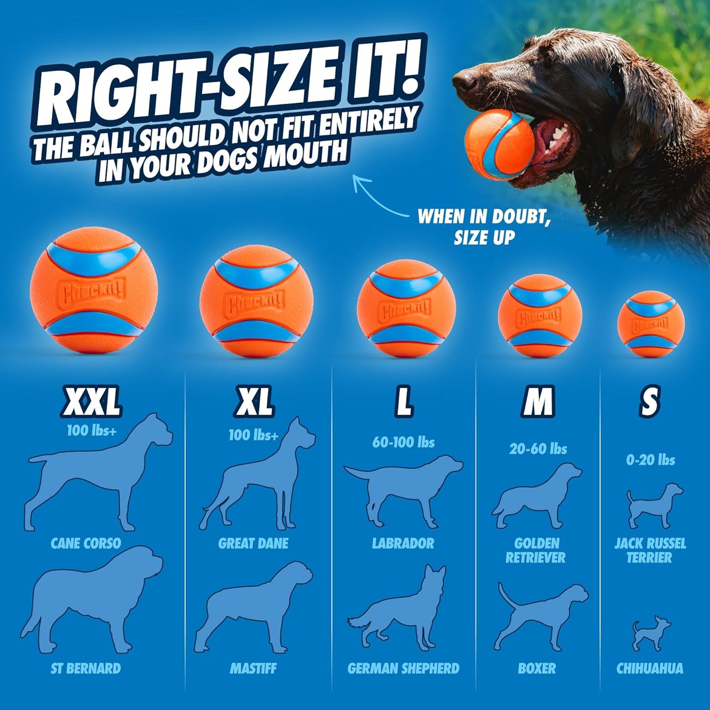 Chuck-It Ultra Rubber Ball