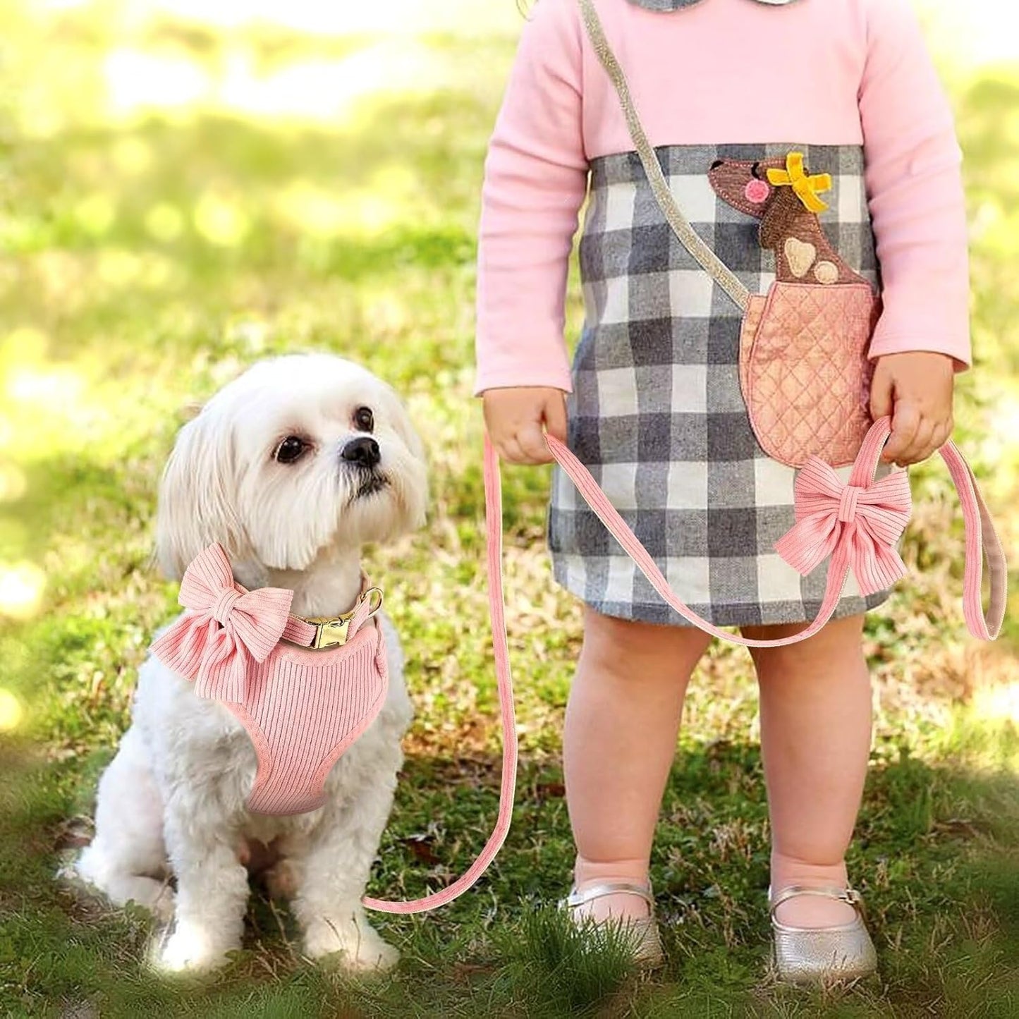 Pink Walking Set