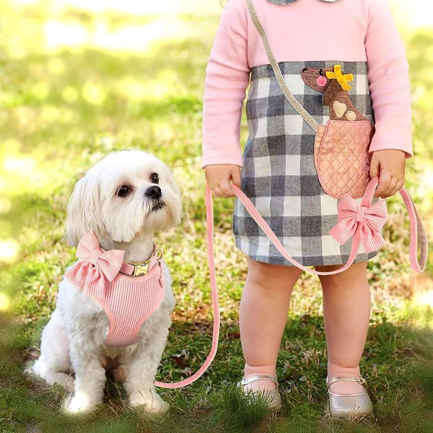 Pink Walking Set