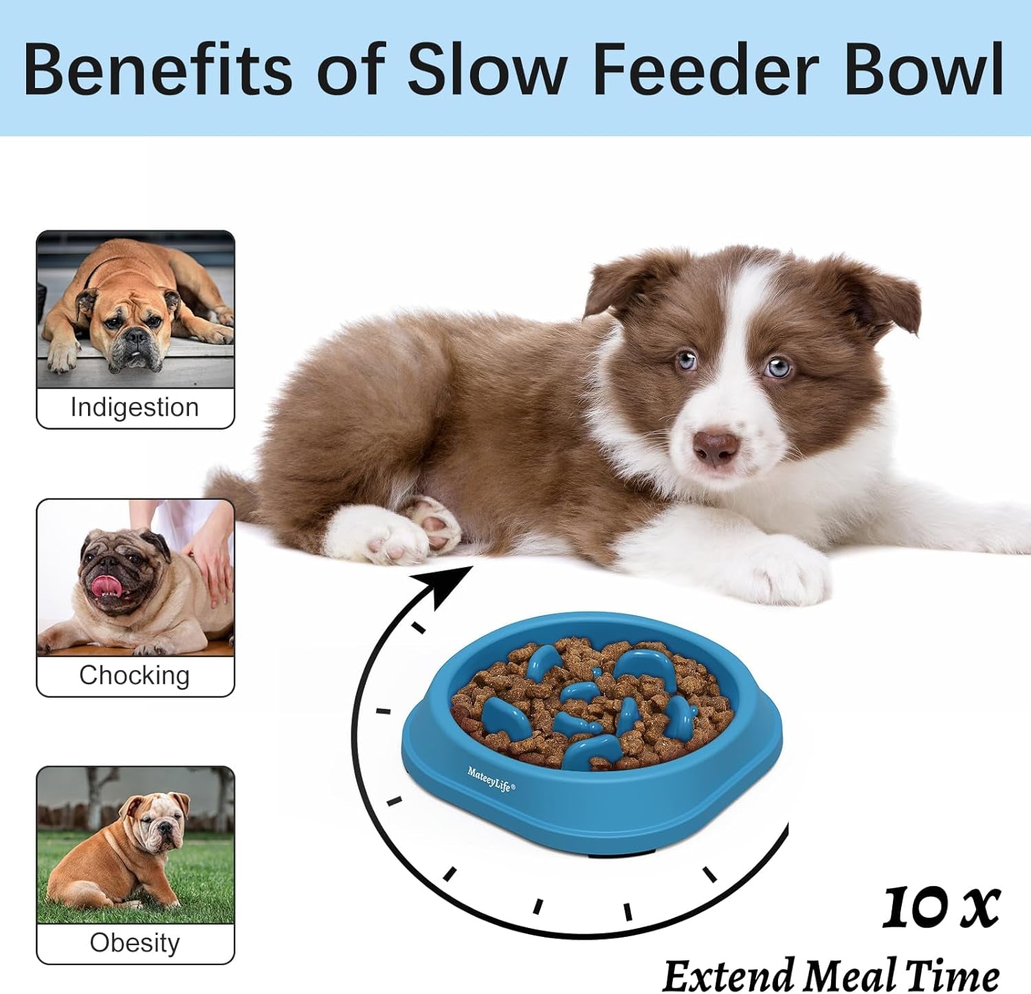 Blue Interactive Slow-Feeder Bowl